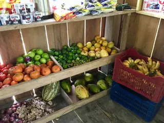 Fresh fruit and vegetables ready for meals at the lodge.
