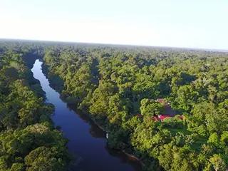 Aerial view of rainforest and a winding river near the lodge.